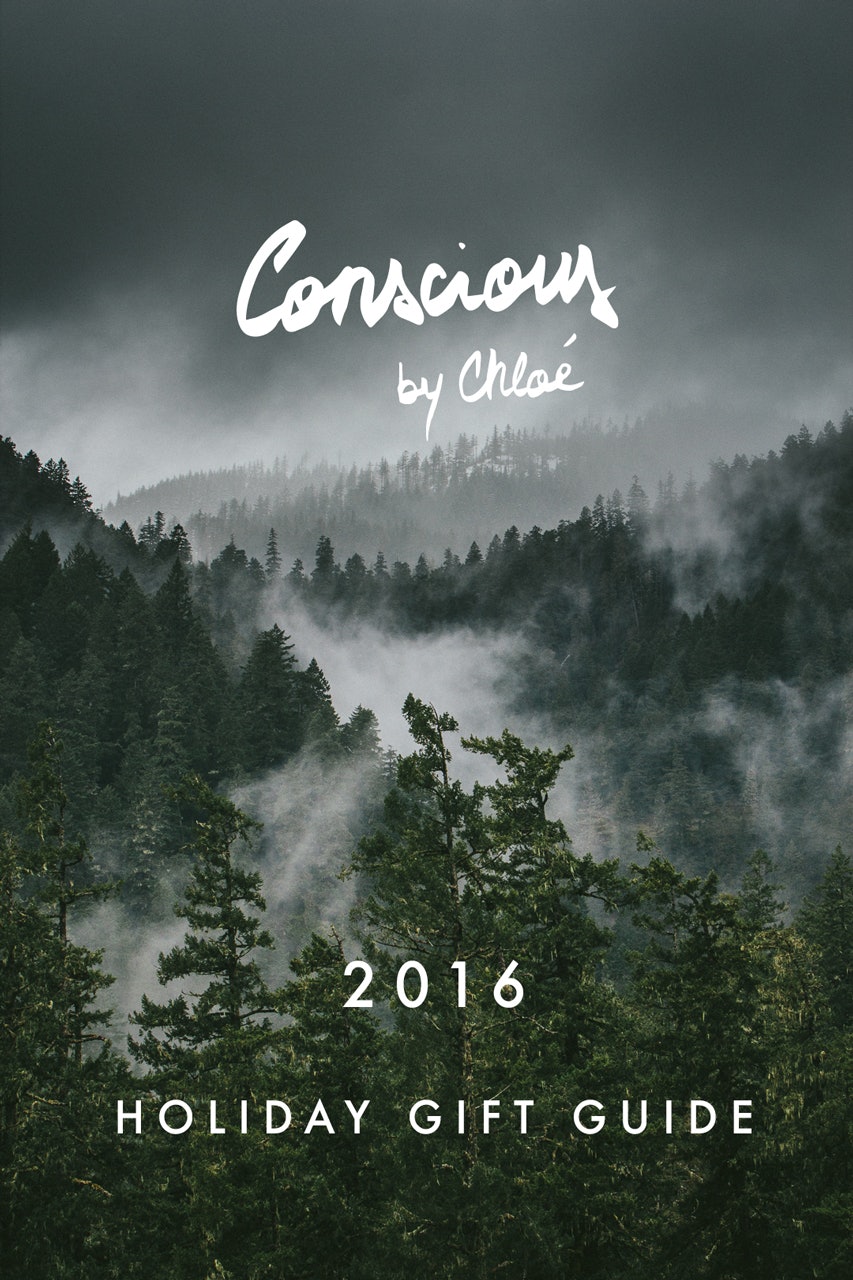 Holiday Gift Guide 2016 PNW Misty Forest by Conscious by Chloé