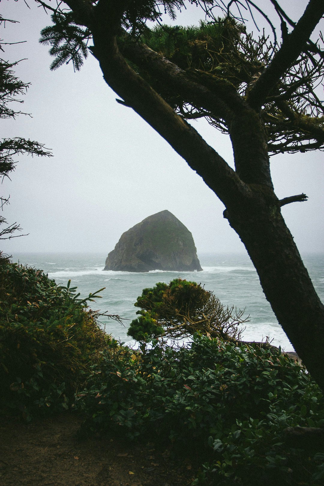 Escape to Oregon by Conscious by Chloé for Billabong