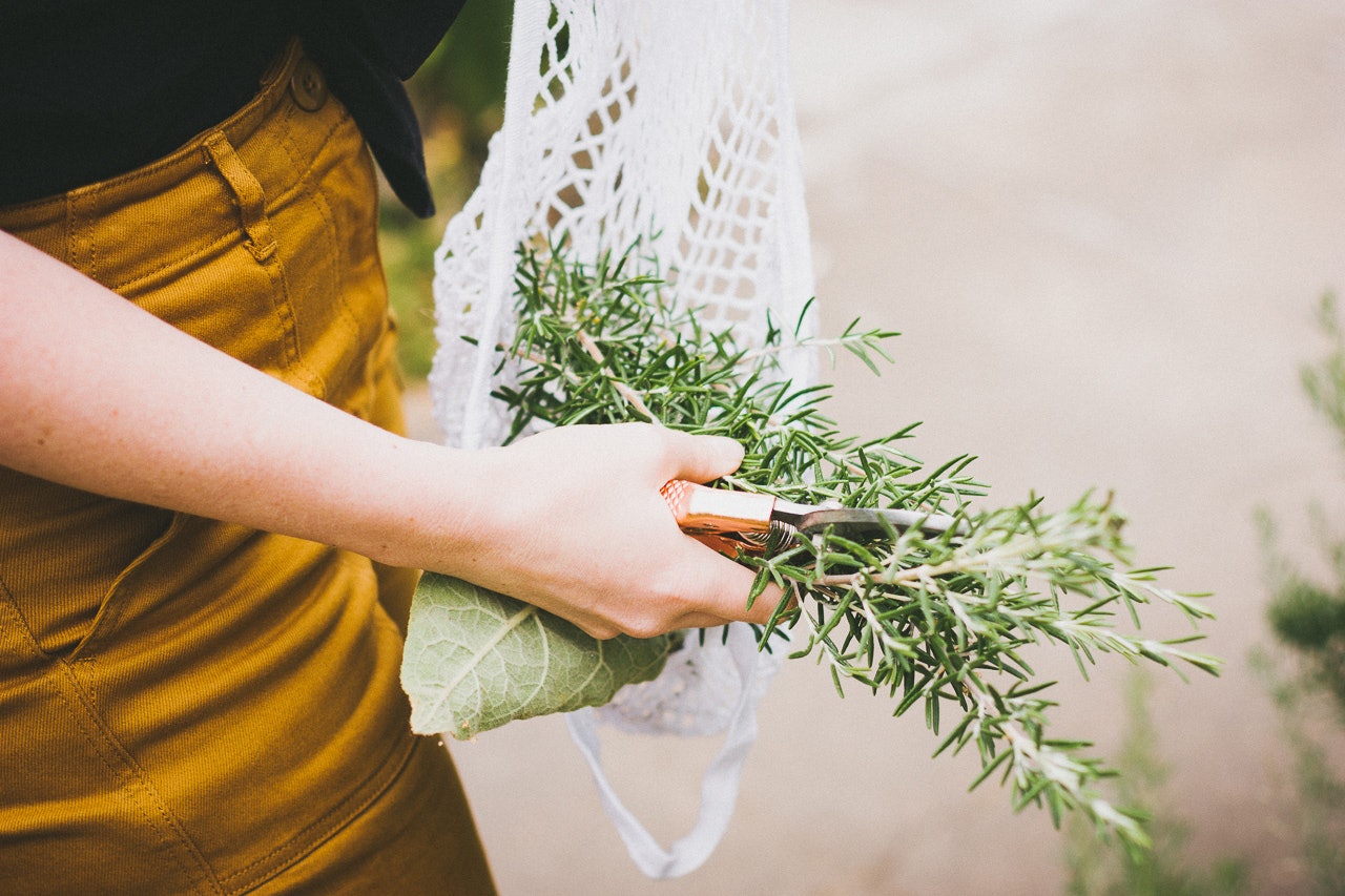 Urban Foraging for Rosemary by Conscious by Chloé