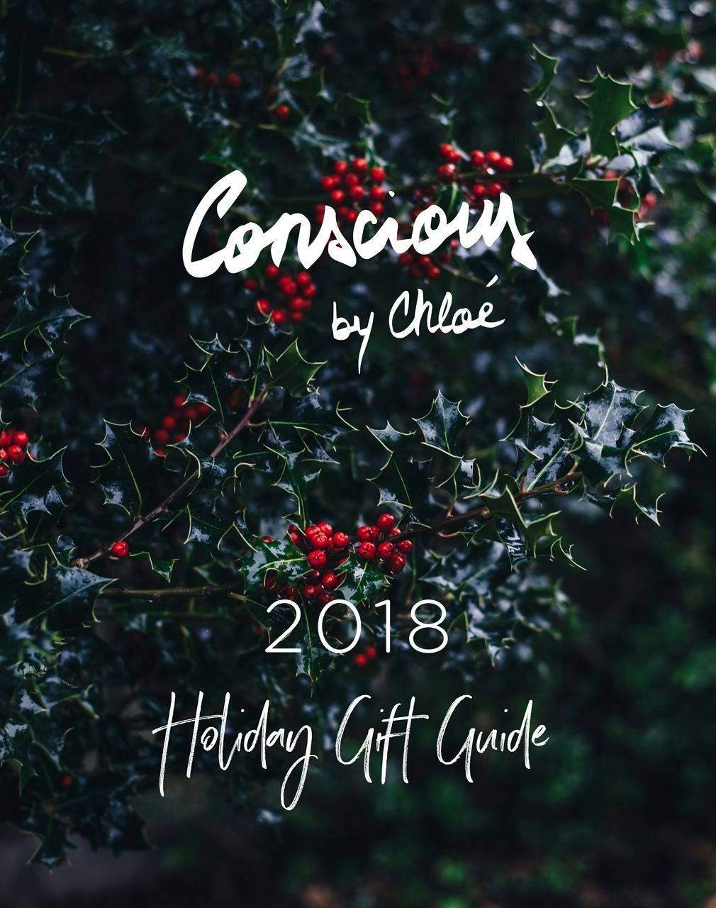 The Conscious by Chloé 2018 Holiday Gift Guide 2018