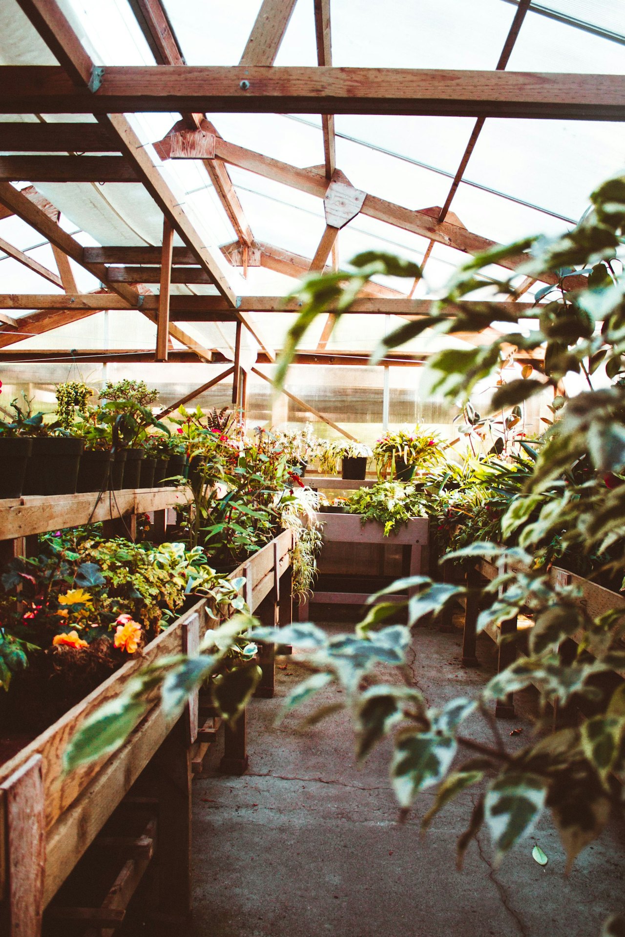 Greenhouse gardening for Conscious by Chloé