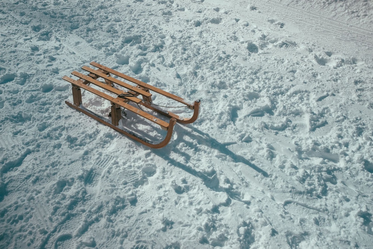Wooden Sled for Conscious by Chloé